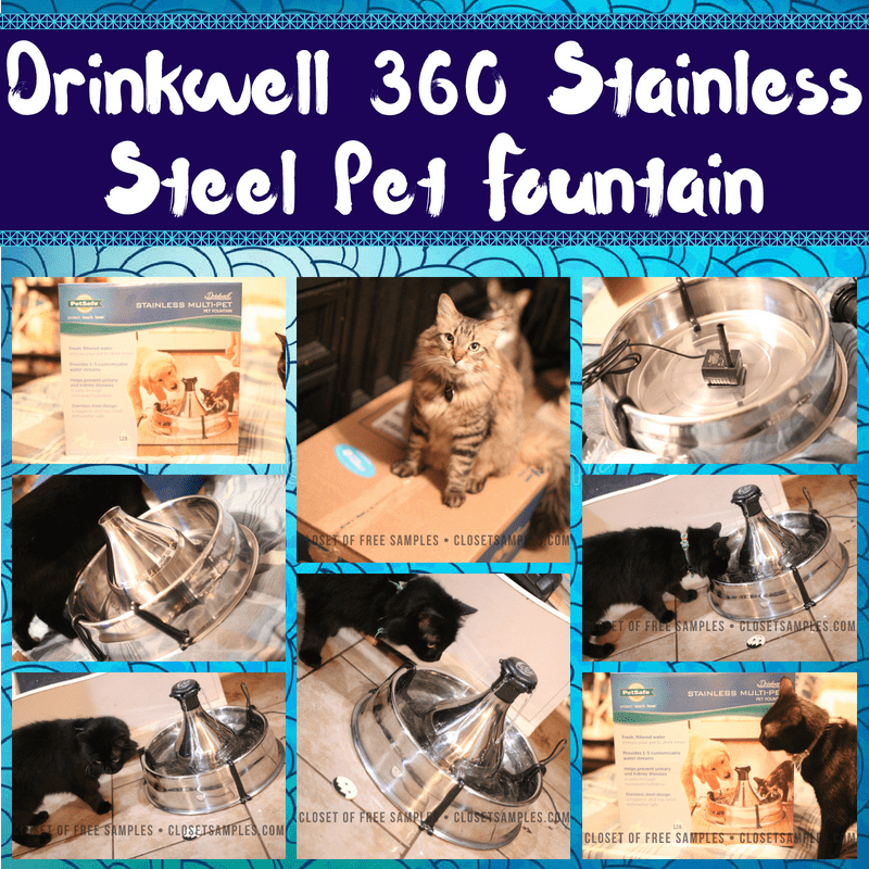 REVIEW: Drinkwell 360 Stainless Steel Pet Fountain from Chewy.com