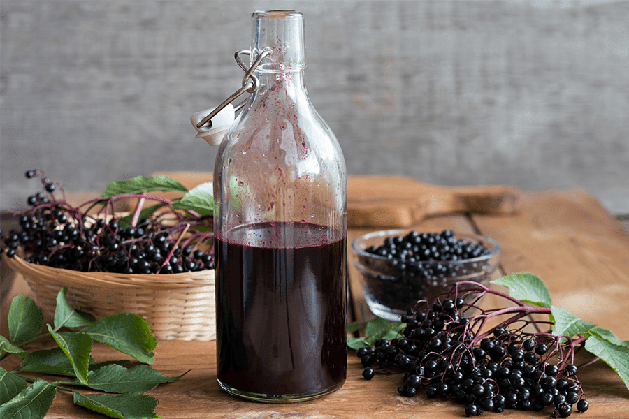 Homemade-Elderberry-Syrup-Recipe-pipingrock-closetsamples.png