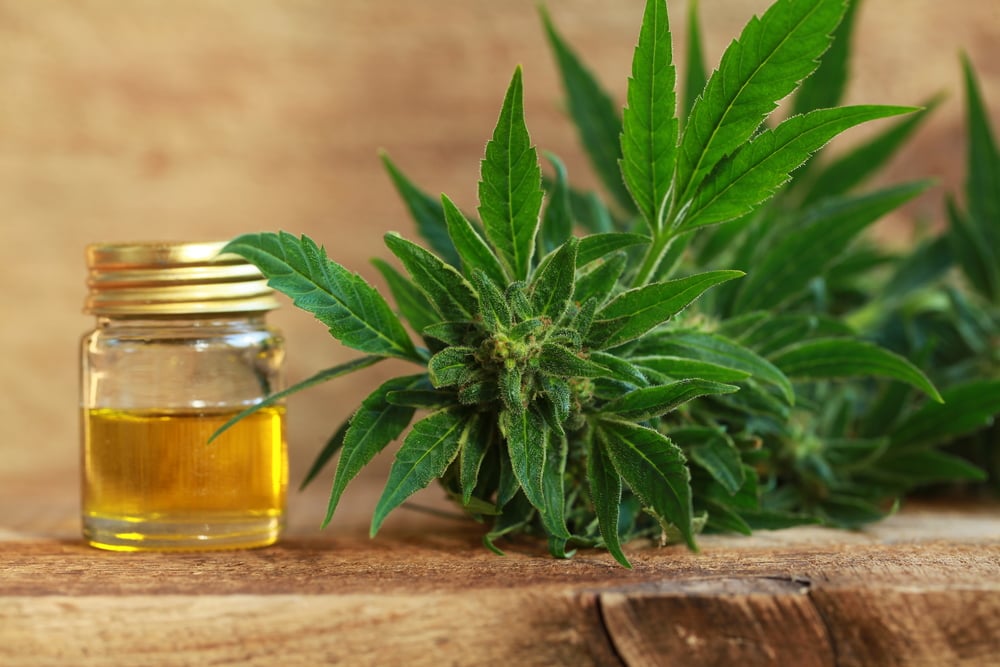 CBD as a natural treatment for...