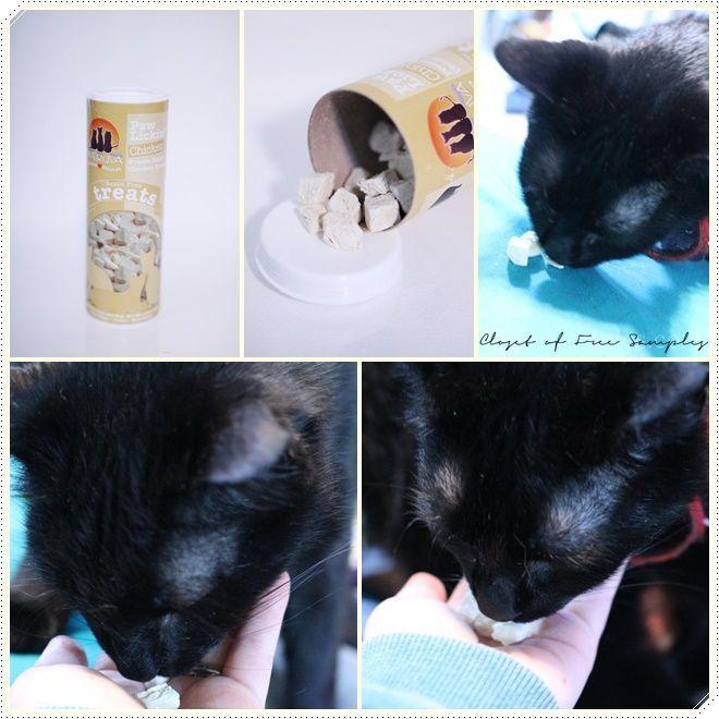 Taste of the Wild Rocky Mountain Grain-Free Canned Cat Food on Chewy.com #Review