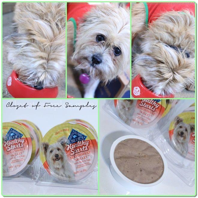 Wellness CORE Chunky Centers with Chicken, Chicken Liver & Spinach Grain-Free Wet Dog Food on Chewy.com #Review