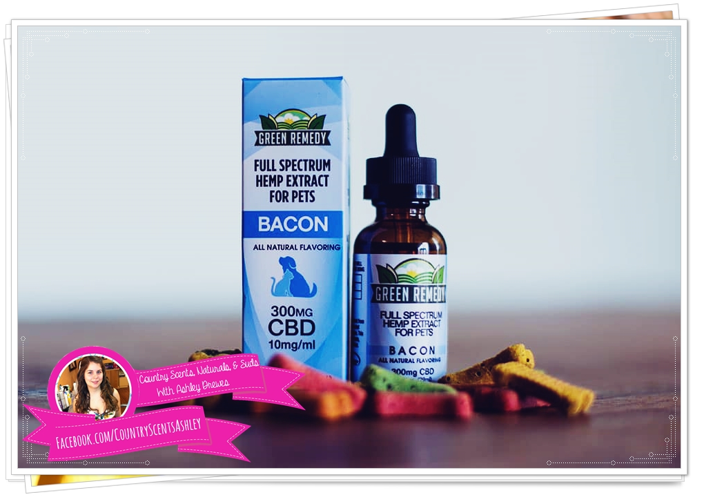 How CBD Can Help Your Pets