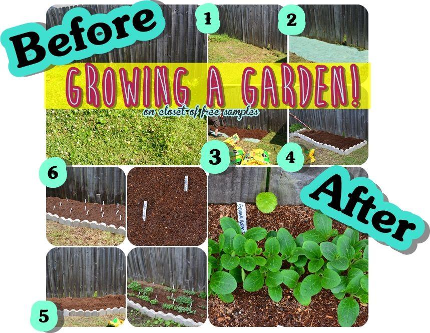 How to Grow A Garden + the Ben...
