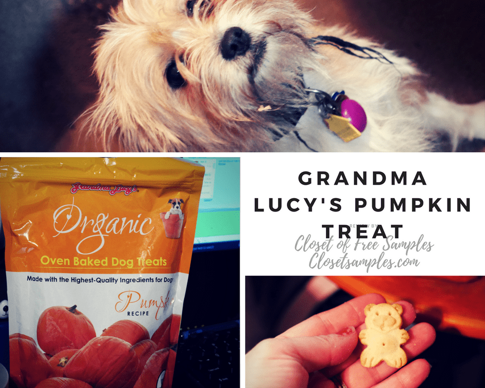 Grandma Lucy's Pumpkin Treat.png