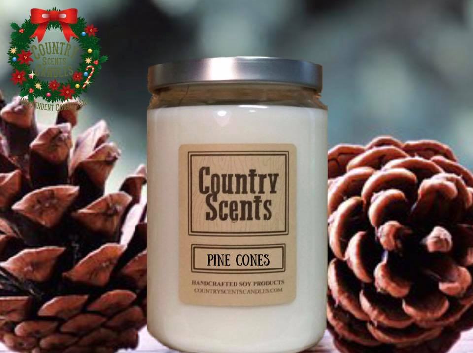 NEW PINE CONES SOY CANDLES &am...