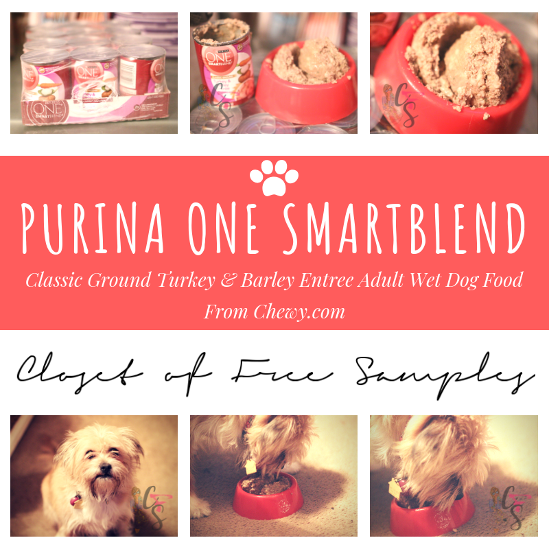 Purina-ONE-SmartBlend-Classic-Ground-Turkey-Barley-Entree-Adult-Wet-Dog-Food-Chewy-Review.png