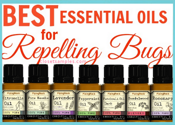 Top 7 Essential Oils for Repel...