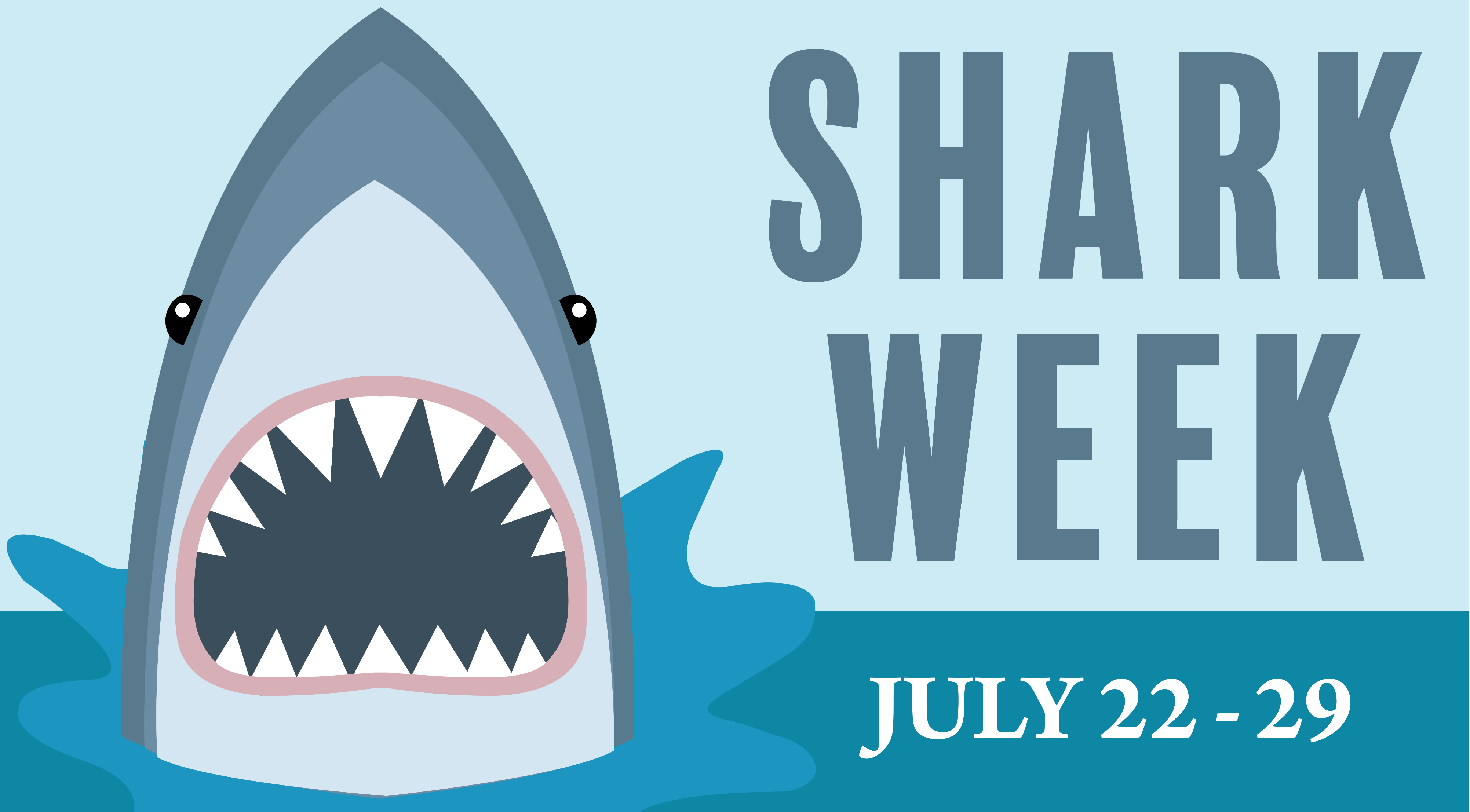 6 Shark Week Must-Have Items!