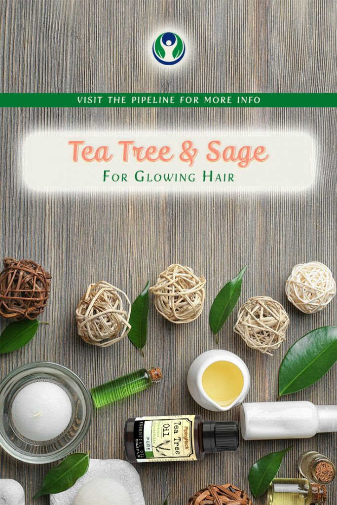 Tea-Tree-Sage-for-Glowing-Hair-PipingRock-Closetsamples-2.jpg