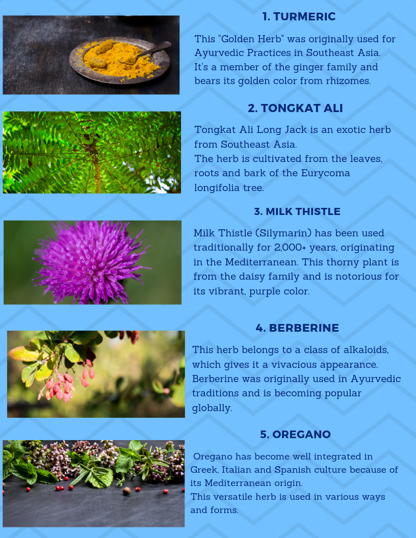 Top-5-Herbs-from-Quality-Natural-Sources-PipingRock2.png