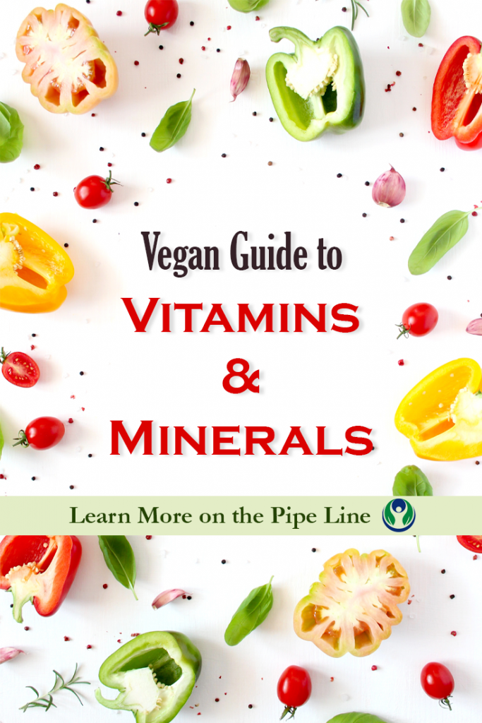 Vegan-Guide-to-Vitamins-Minerals-Pipingrock-Closetsamples-6.png