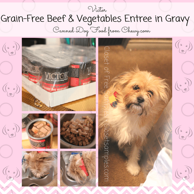REVIEW: Victor Grain-Free Beef...