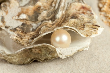 Open Your Own Pearl at Home for just $7.50!