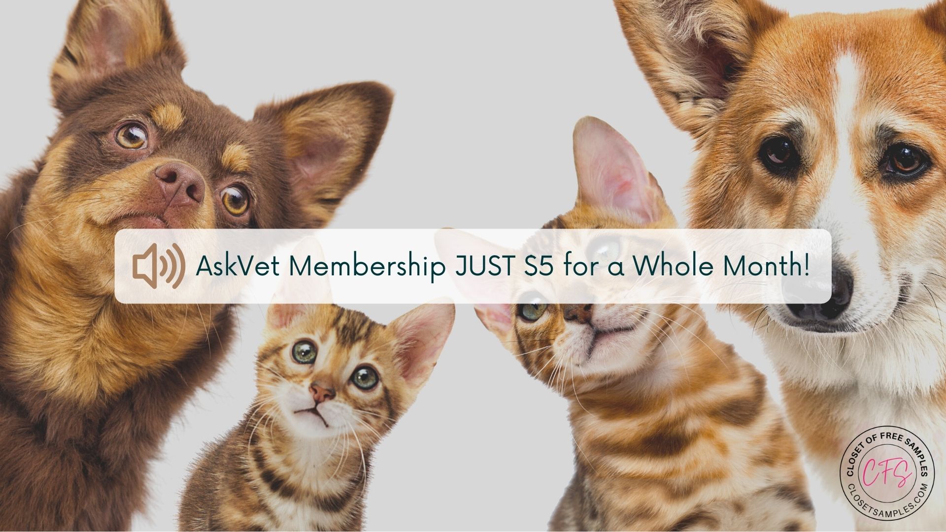 AskVet Membership 5 closetsamples