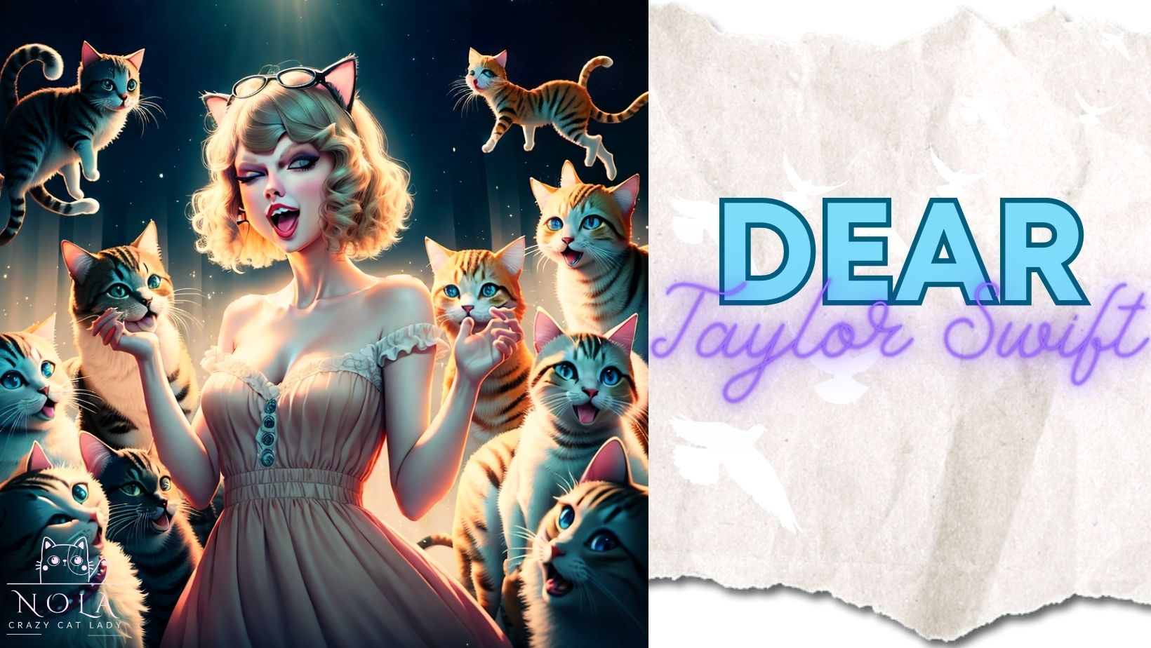 An Open Letter to taylor Swift closetsamples nolacrazycatlady