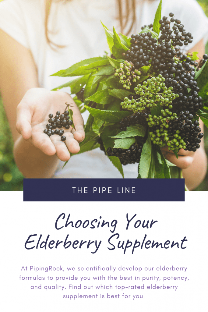 Choosing Your Elderberry Supplement Pipingrock closetsamples pinterest