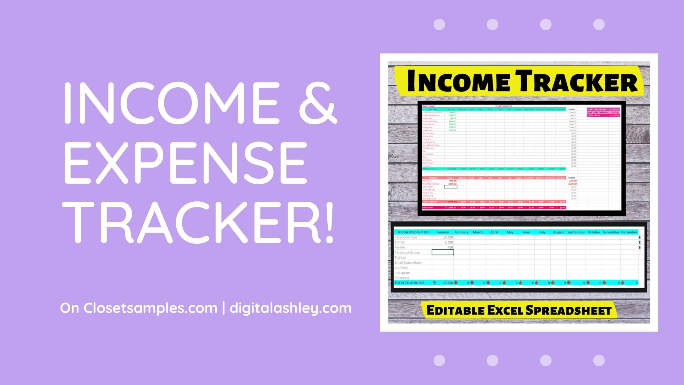 INSTANT DOWNLOAD Customizable Blog Business Income and Expense Social Tracker Excel Spreadsheet digitalashley closetsamples