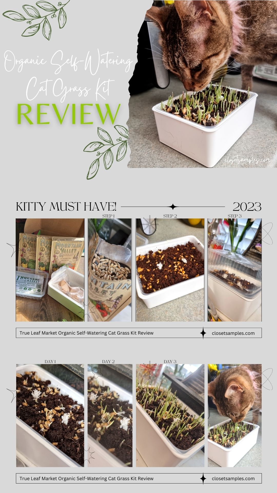 True Leaf Market Organic Self Watering Cat Grass Kit Review closetsamples Pinterest