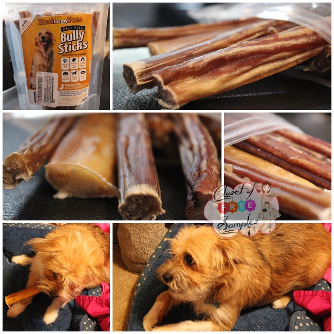 Natural Bully Sticks Review