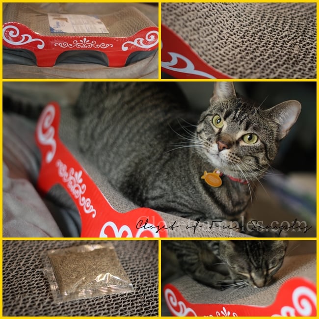 Catit Bench Scratcher with Cat...