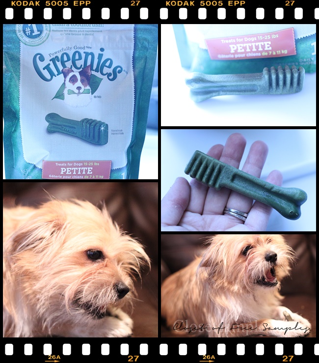 Greenies Dental Dog Treats fro...
