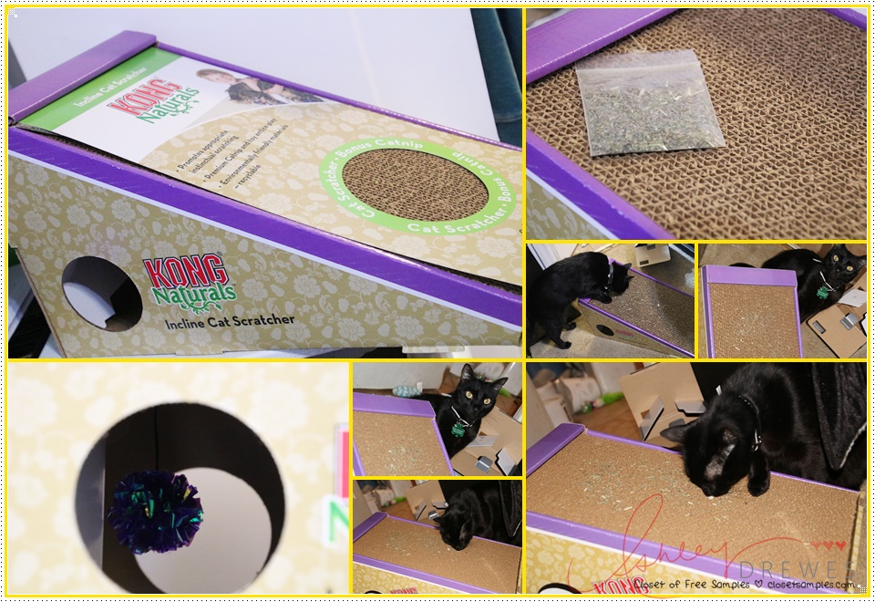 KONG Cat Scratcher from Chewy.com #Review